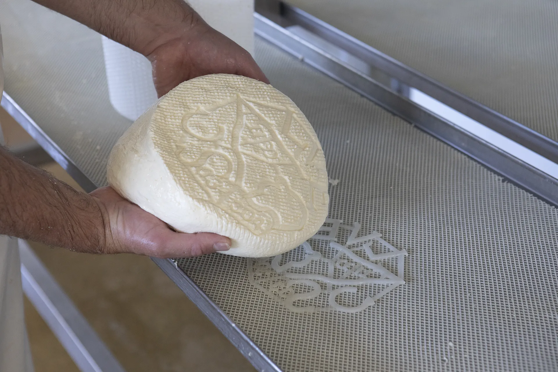 Latteria Sociale Di Scalve Estrazione Terza Caldaia